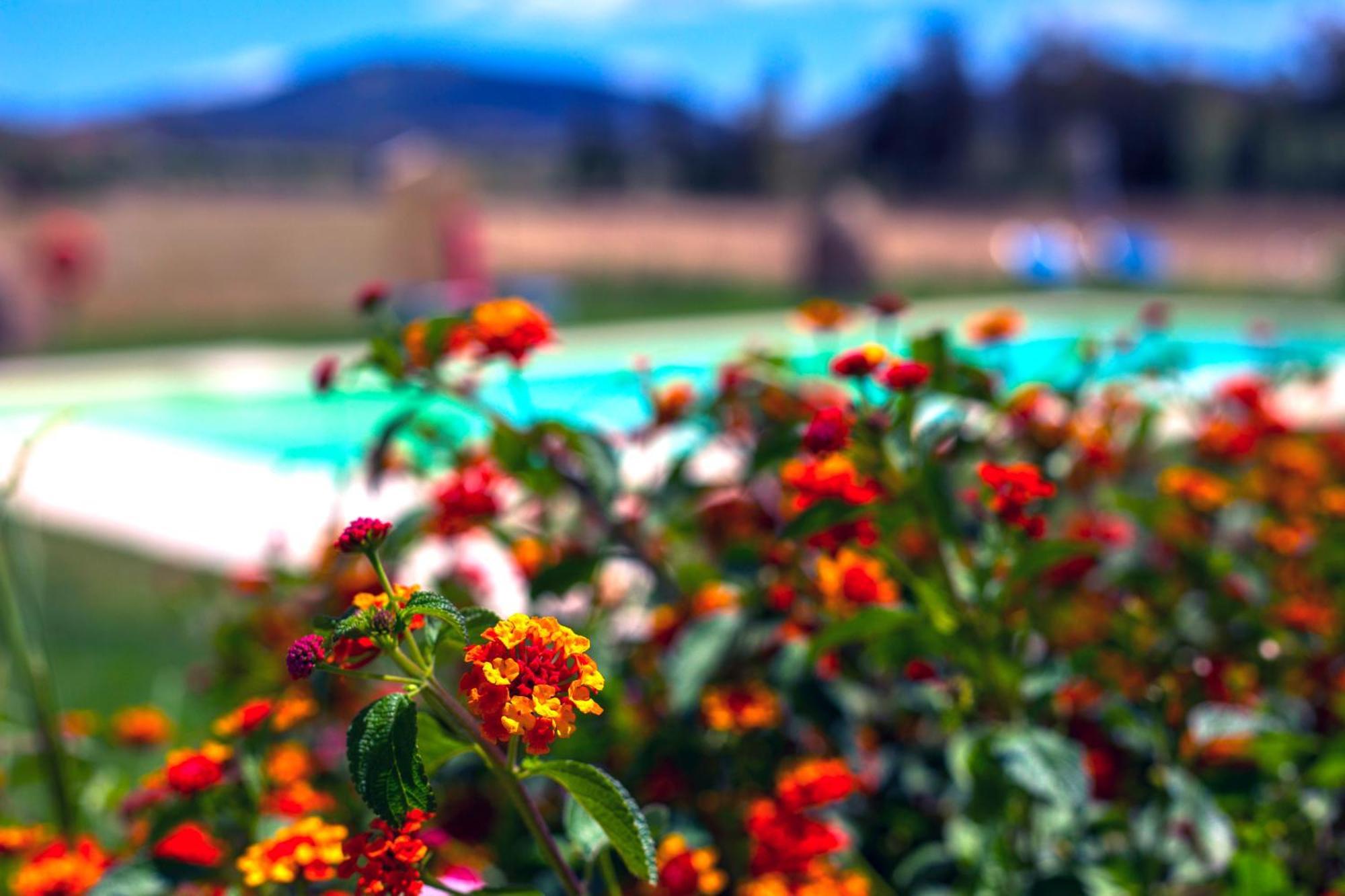 Agriturismo Piperedda Irgoli 外观 照片