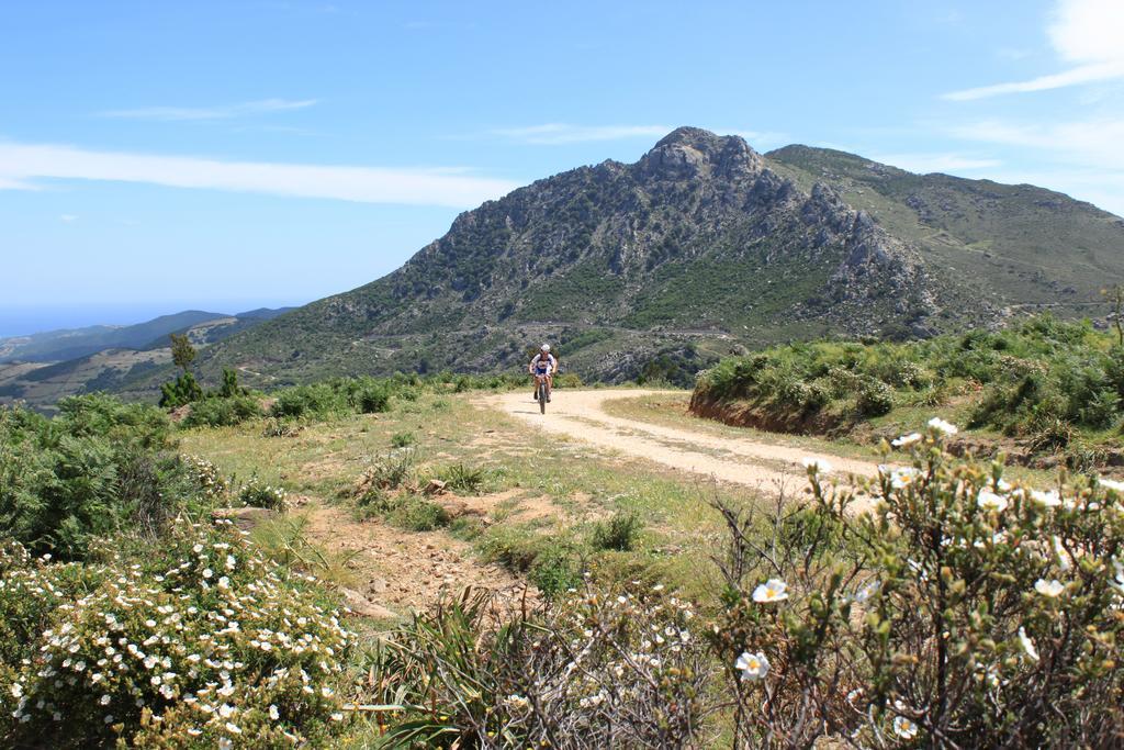 Agriturismo Piperedda Irgoli 外观 照片